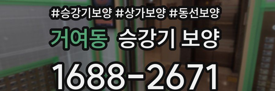 거여동 승강기 보양