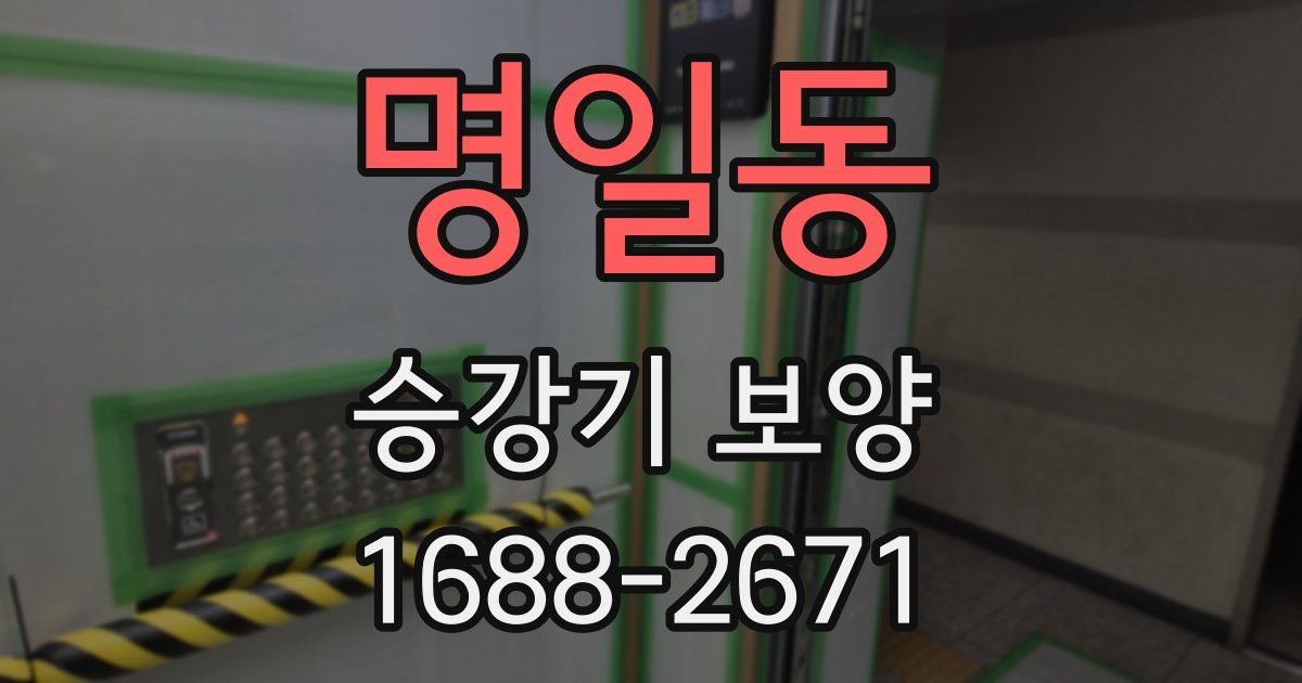 명일동 승강기 보양