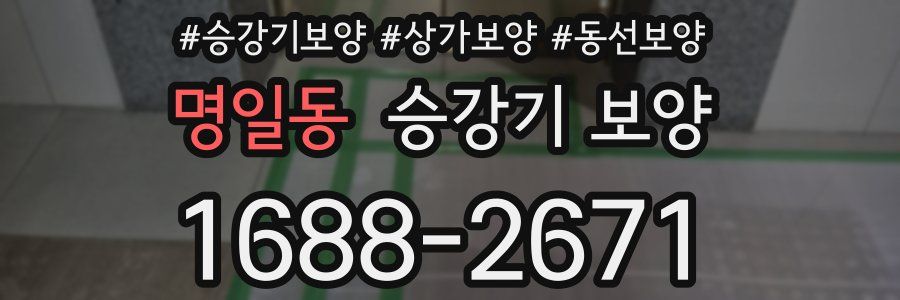 명일동 승강기 보양