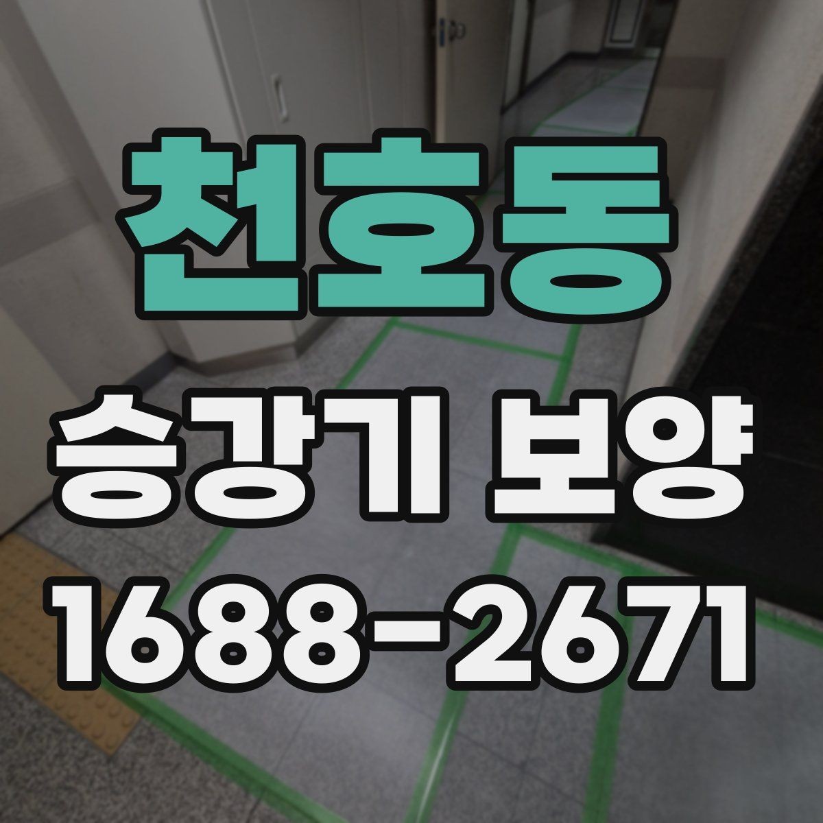 천호동 승강기 보양 대상과 범위를 정하는 기준