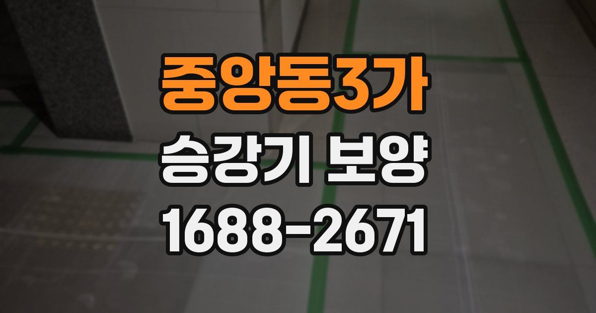 중앙동3가 승강기 보양