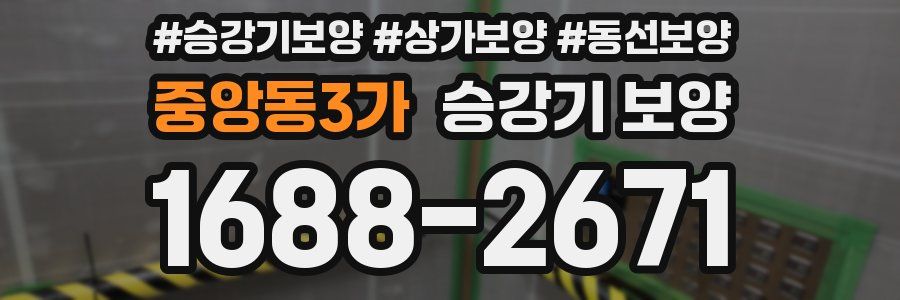 중앙동3가 승강기 보양