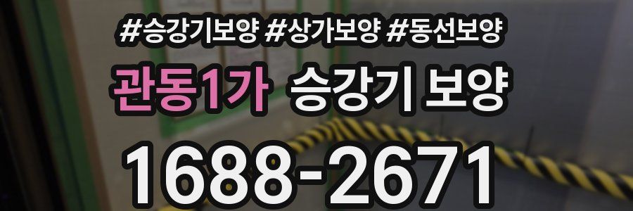 관동1가 승강기 보양
