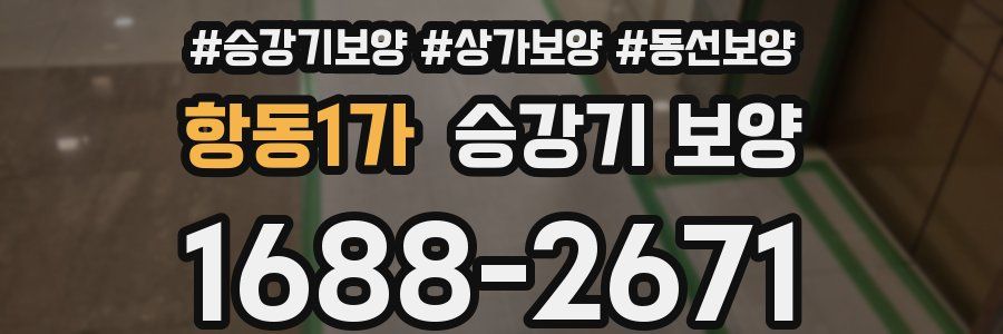 항동1가 승강기 보양
