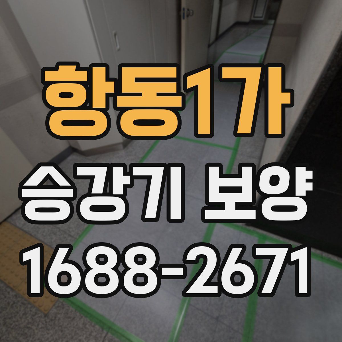 항동1가 승강기 보양