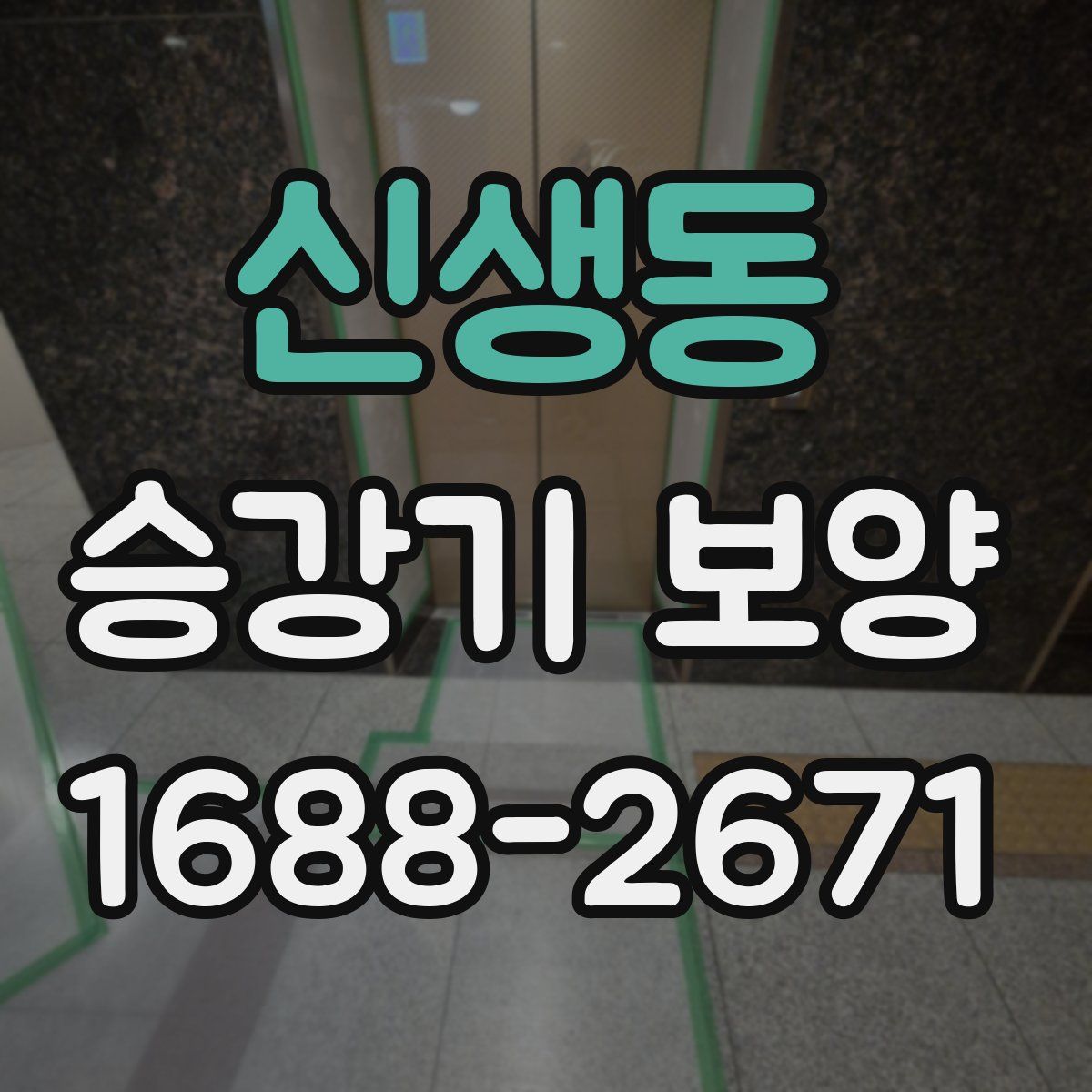 신생동 승강기 보양