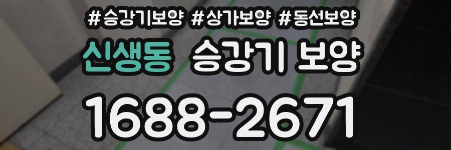 신생동 승강기 보양