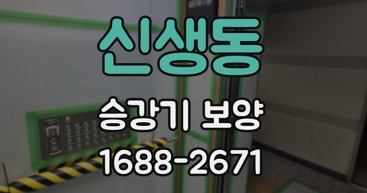 신생동 승강기 보양