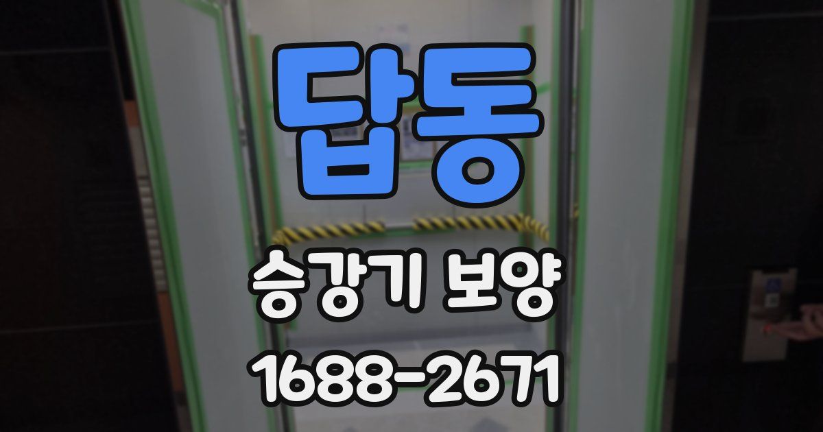 답동 승강기 보양
