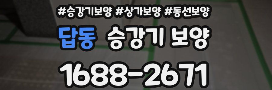 답동 승강기 보양