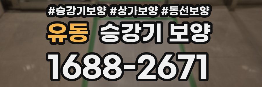 유동 승강기 보양