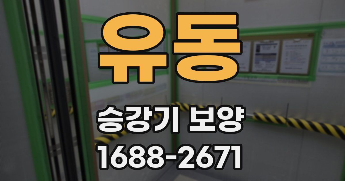 유동 승강기 보양