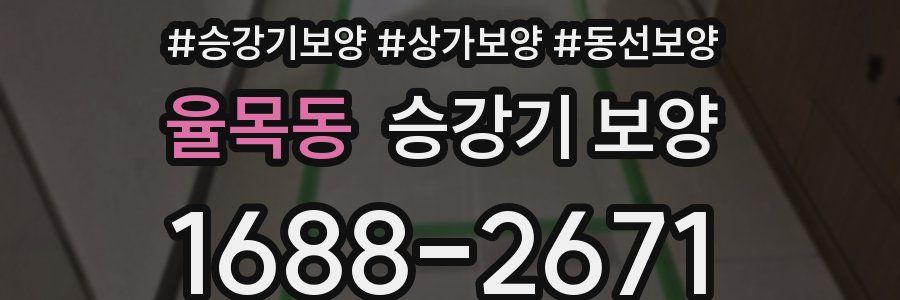 율목동 승강기 보양