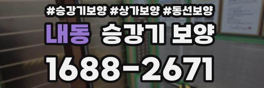 내동 승강기 보양