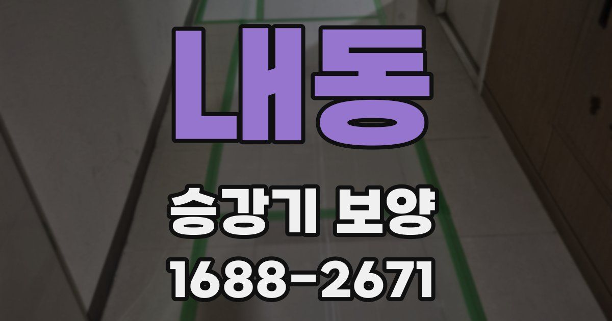 내동 승강기 보양