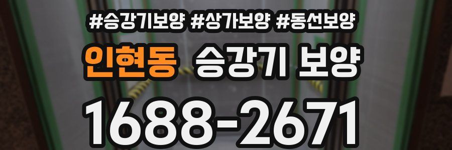 인현동 승강기 보양