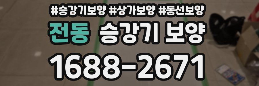 전동 승강기 보양
