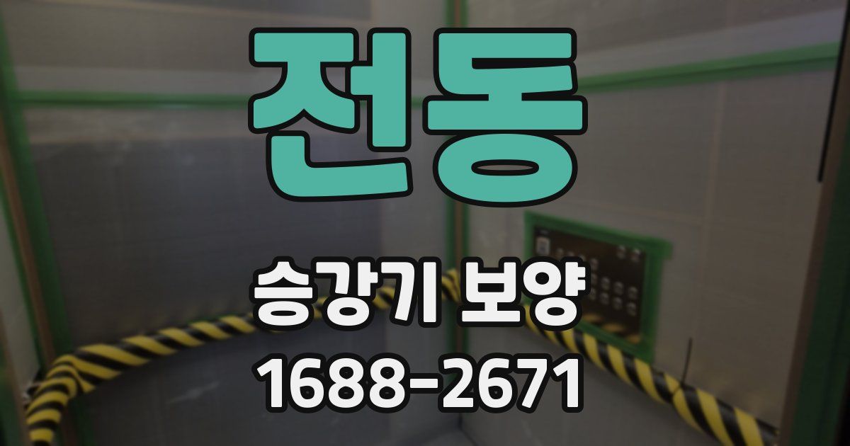전동 승강기 보양