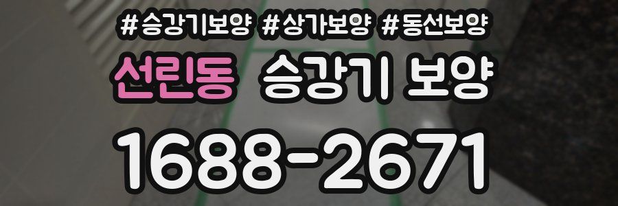 선린동 승강기 보양