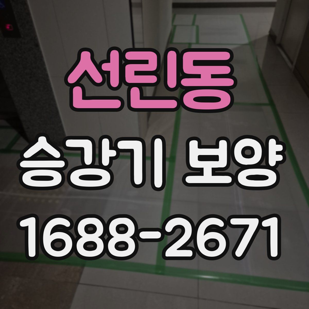 선린동 승강기 보양