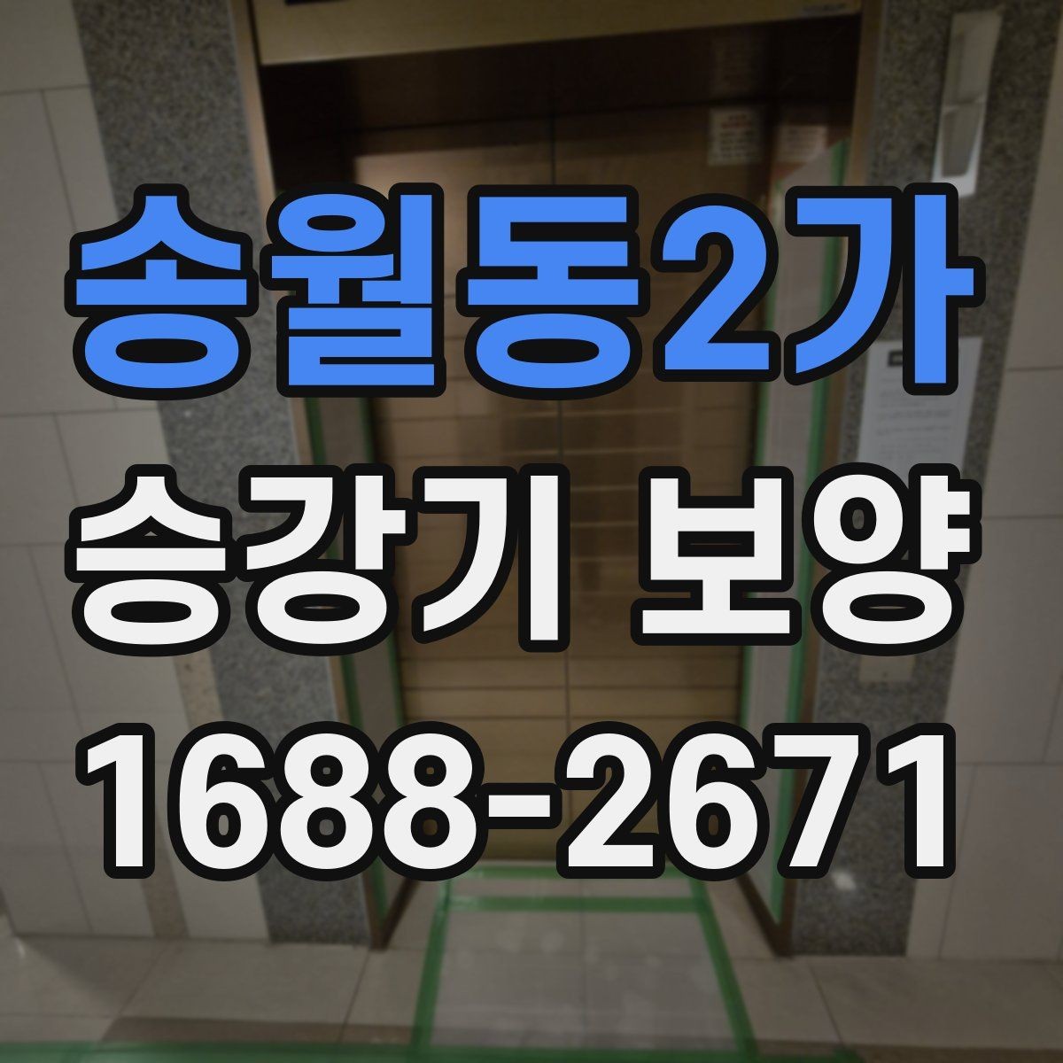 송월동2가 승강기 보양 현장 맞춤형 진행 방식