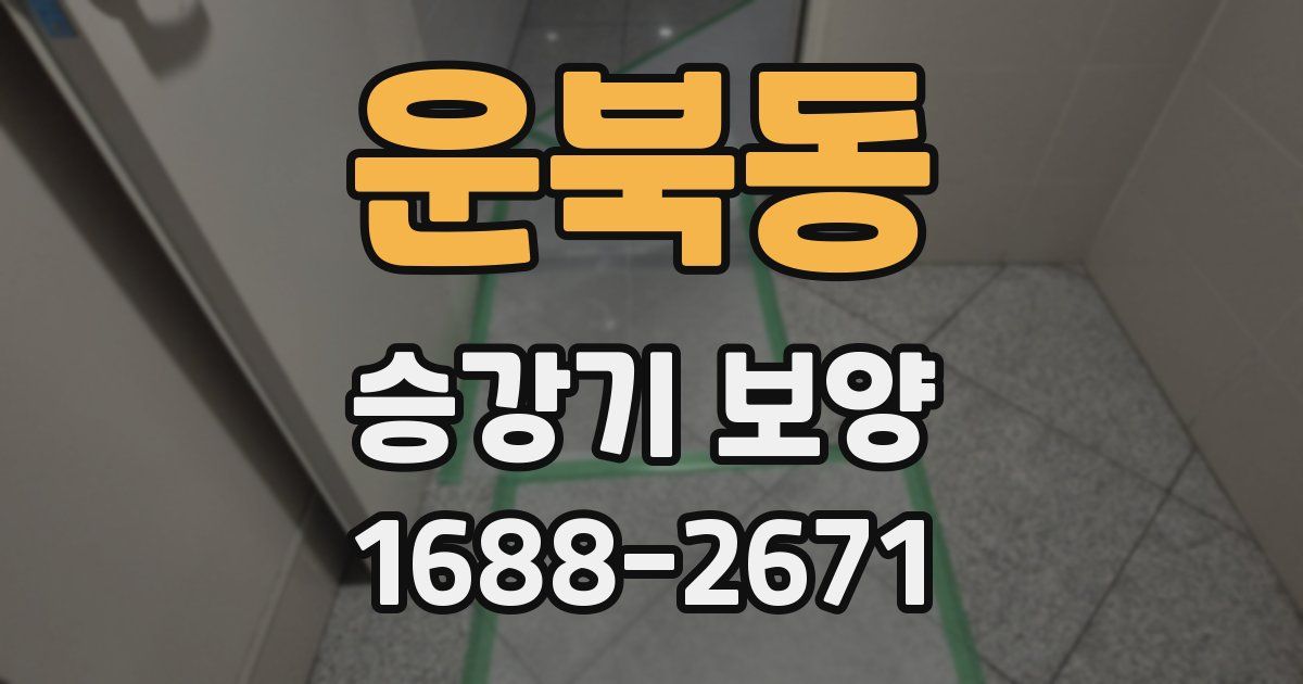 운북동 승강기 보양