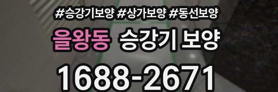 을왕동 승강기 보양