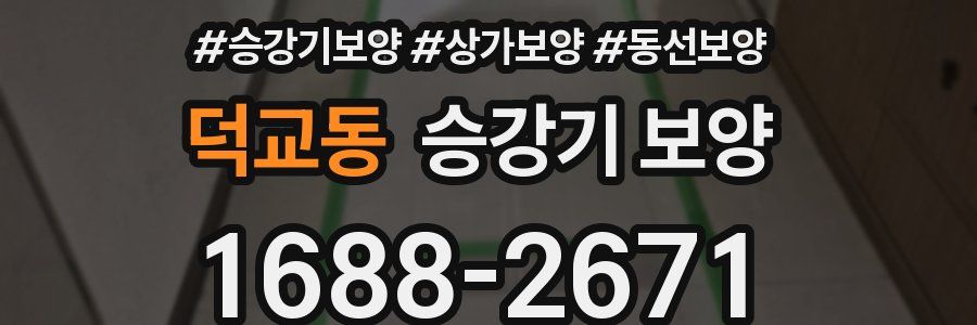 덕교동 승강기 보양