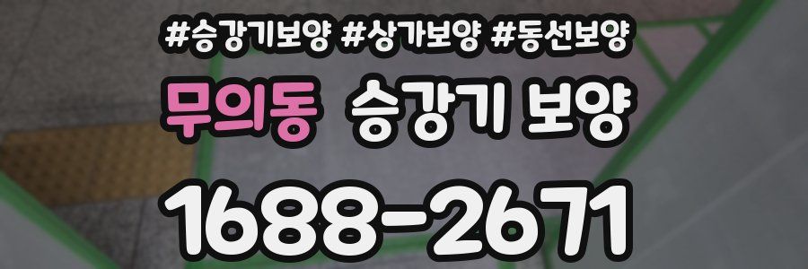 무의동 승강기 보양