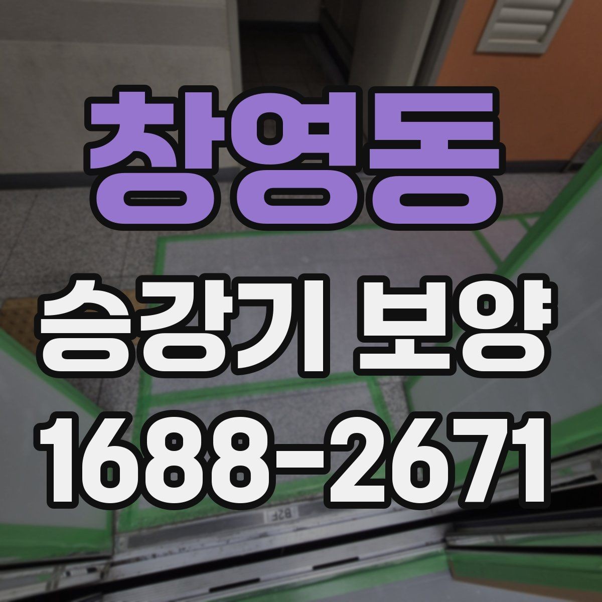 창영동 승강기 보양 공사에서 비용과 품질의 균형
