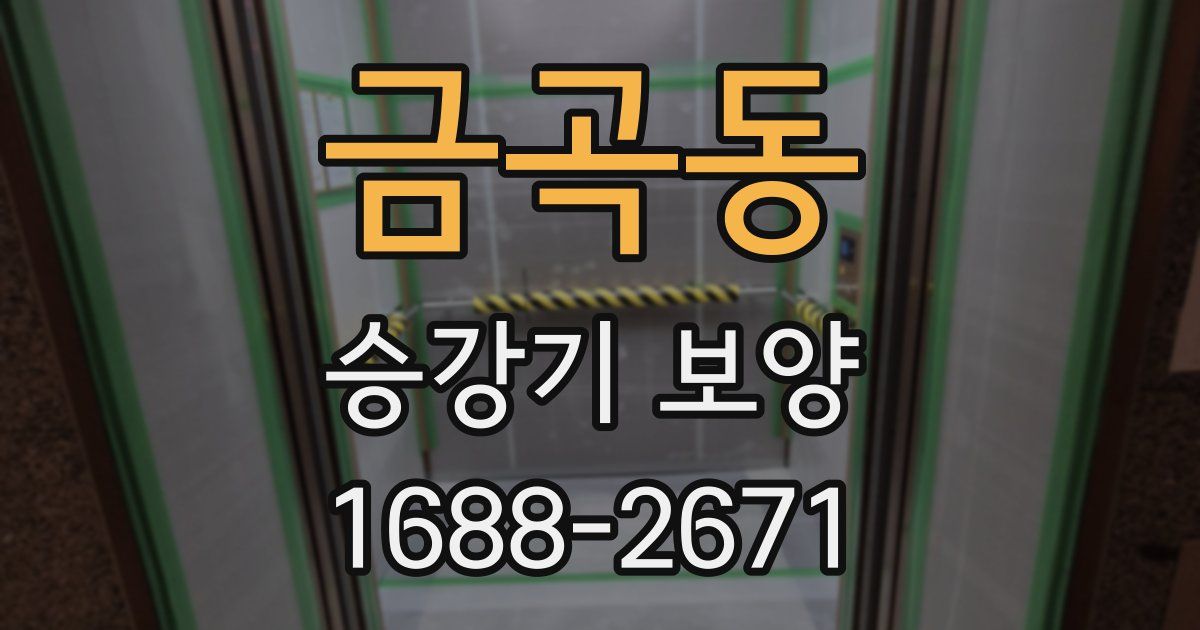 금곡동 승강기 보양
