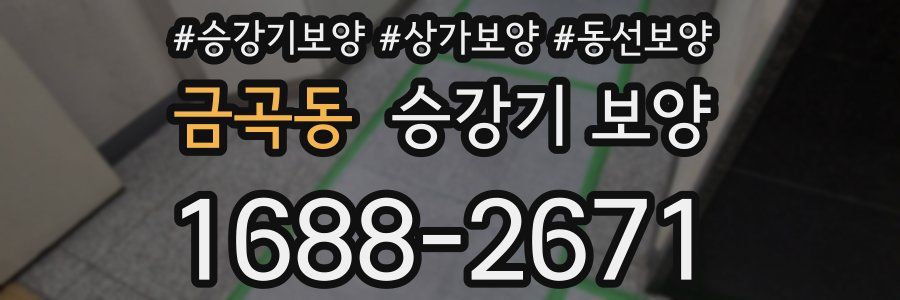 금곡동 승강기 보양