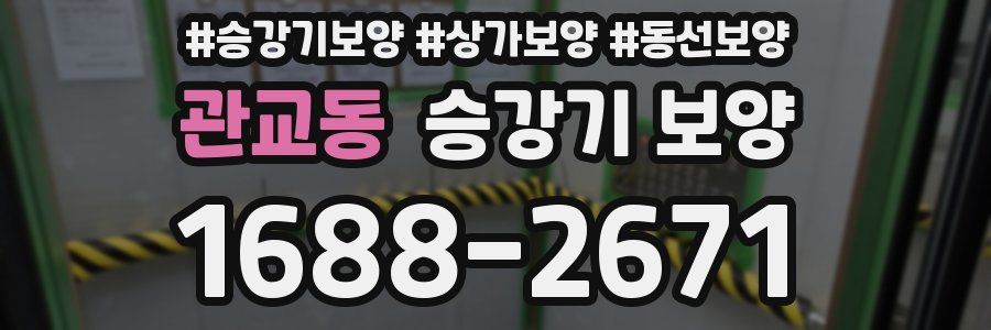 관교동 승강기 보양