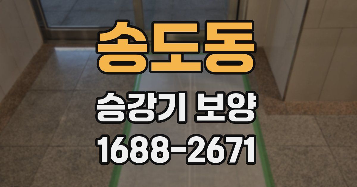 송도동 승강기 보양