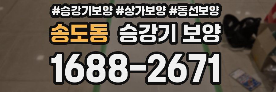 송도동 승강기 보양