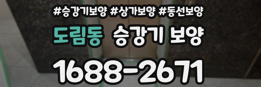 도림동 승강기 보양