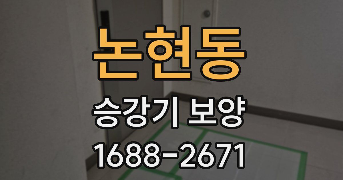 논현동 승강기 보양