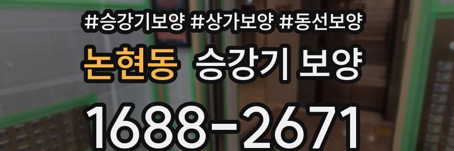 논현동 승강기 보양