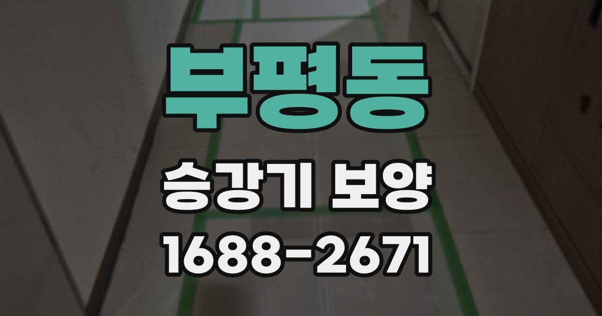 부평동 승강기 보양