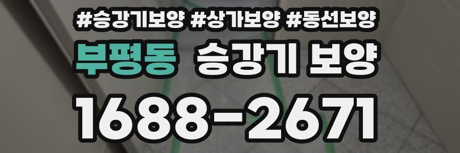 부평동 승강기 보양
