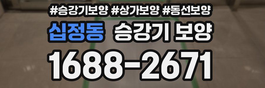 십정동 승강기 보양