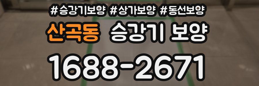 산곡동 승강기 보양