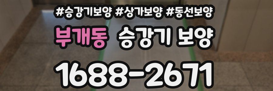 부개동 승강기 보양