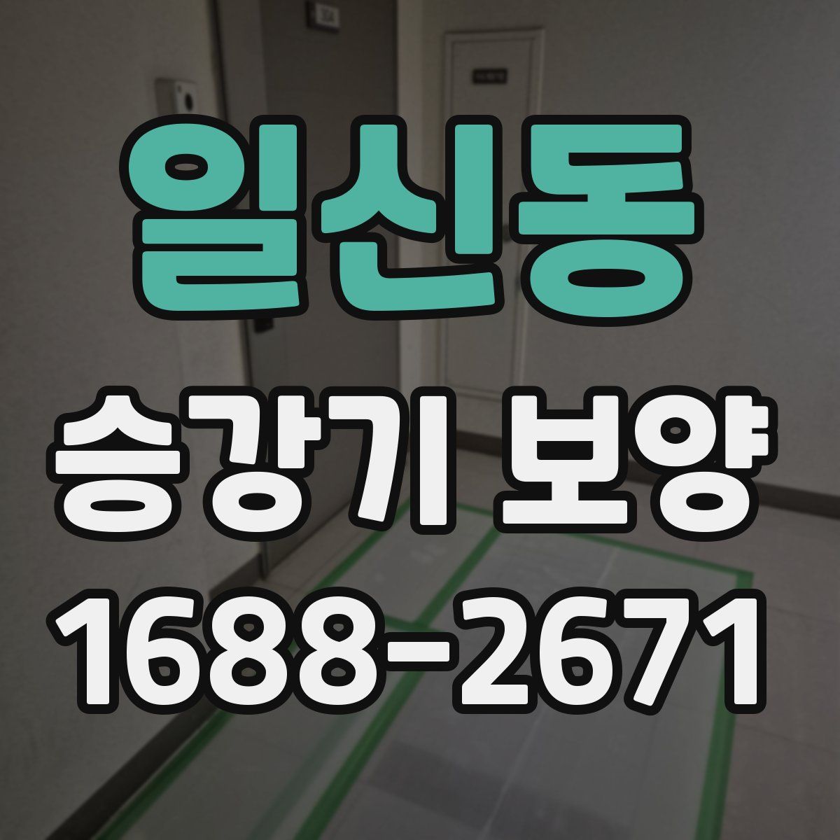일신동 승강기 보양