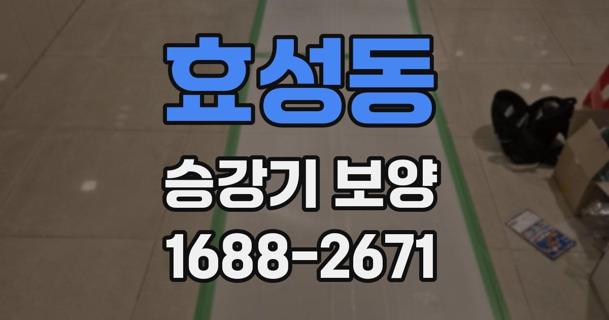 효성동 승강기 보양