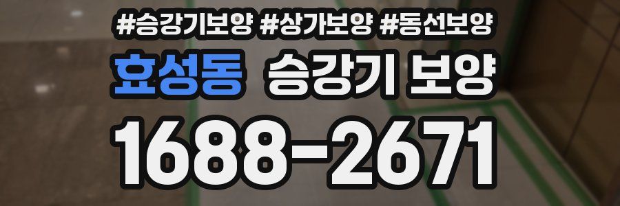 효성동 승강기 보양