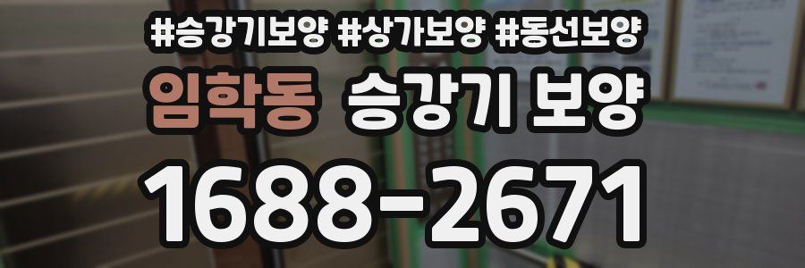 임학동 승강기 보양