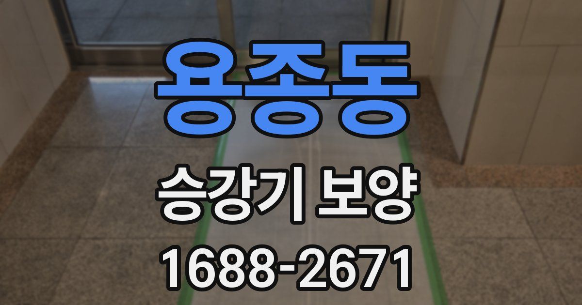 용종동 승강기 보양