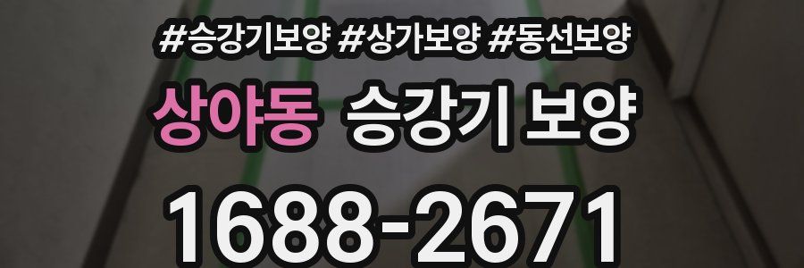 상야동 승강기 보양