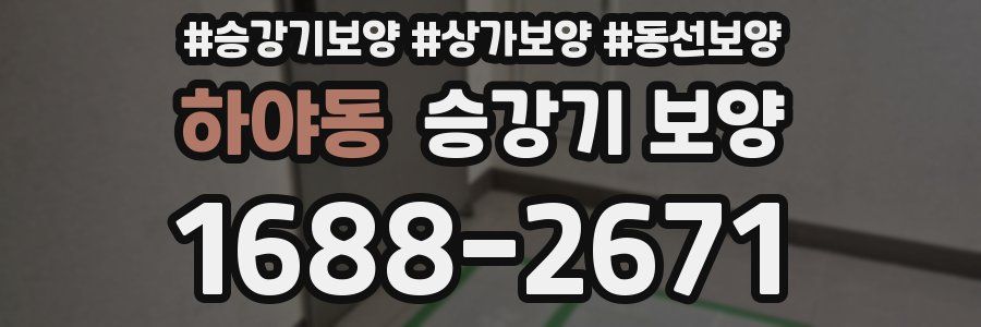 하야동 승강기 보양